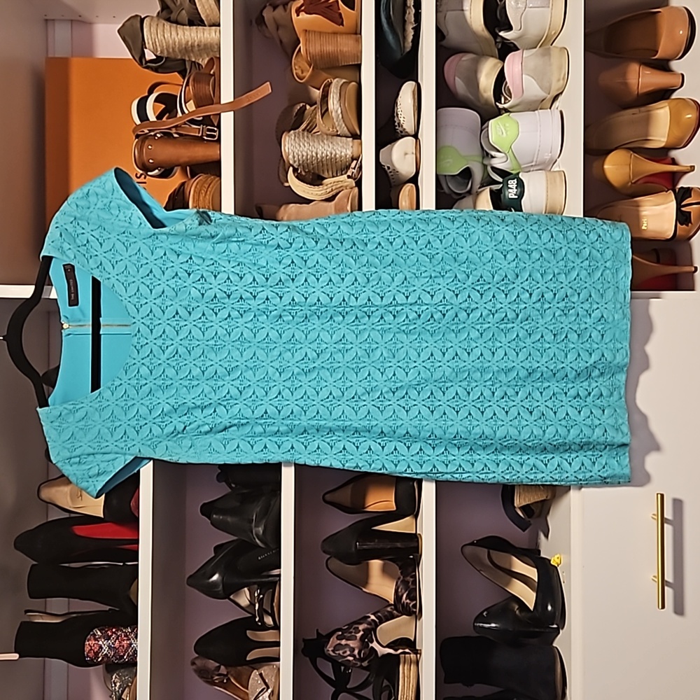 The Limited lace shift dress sz M